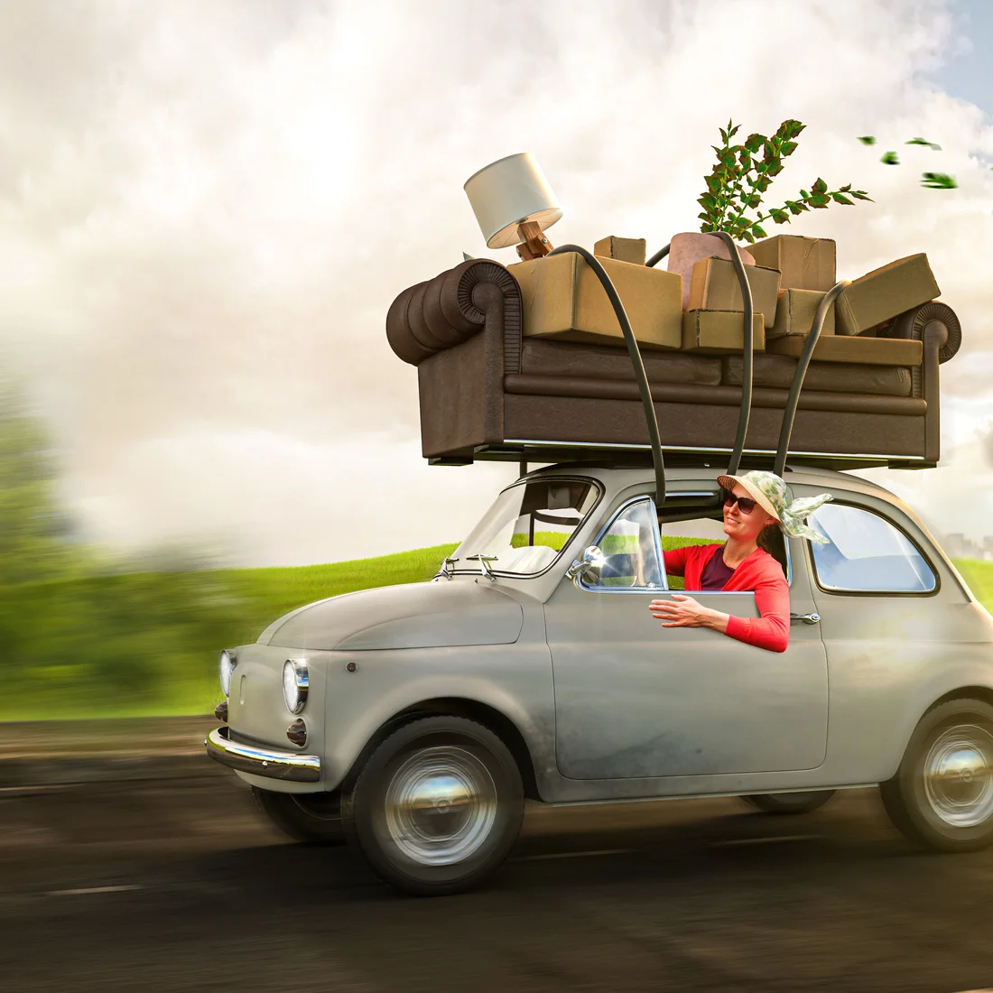 Migration von anderen Plattformen bei unidexx
