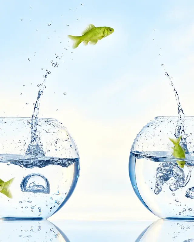 Zwei gr&uuml;ne Fische springen zwischen Glasschalen mit Wasser als Sinnbild f&uuml;r den Wechsel der E-Commerce-Plattform